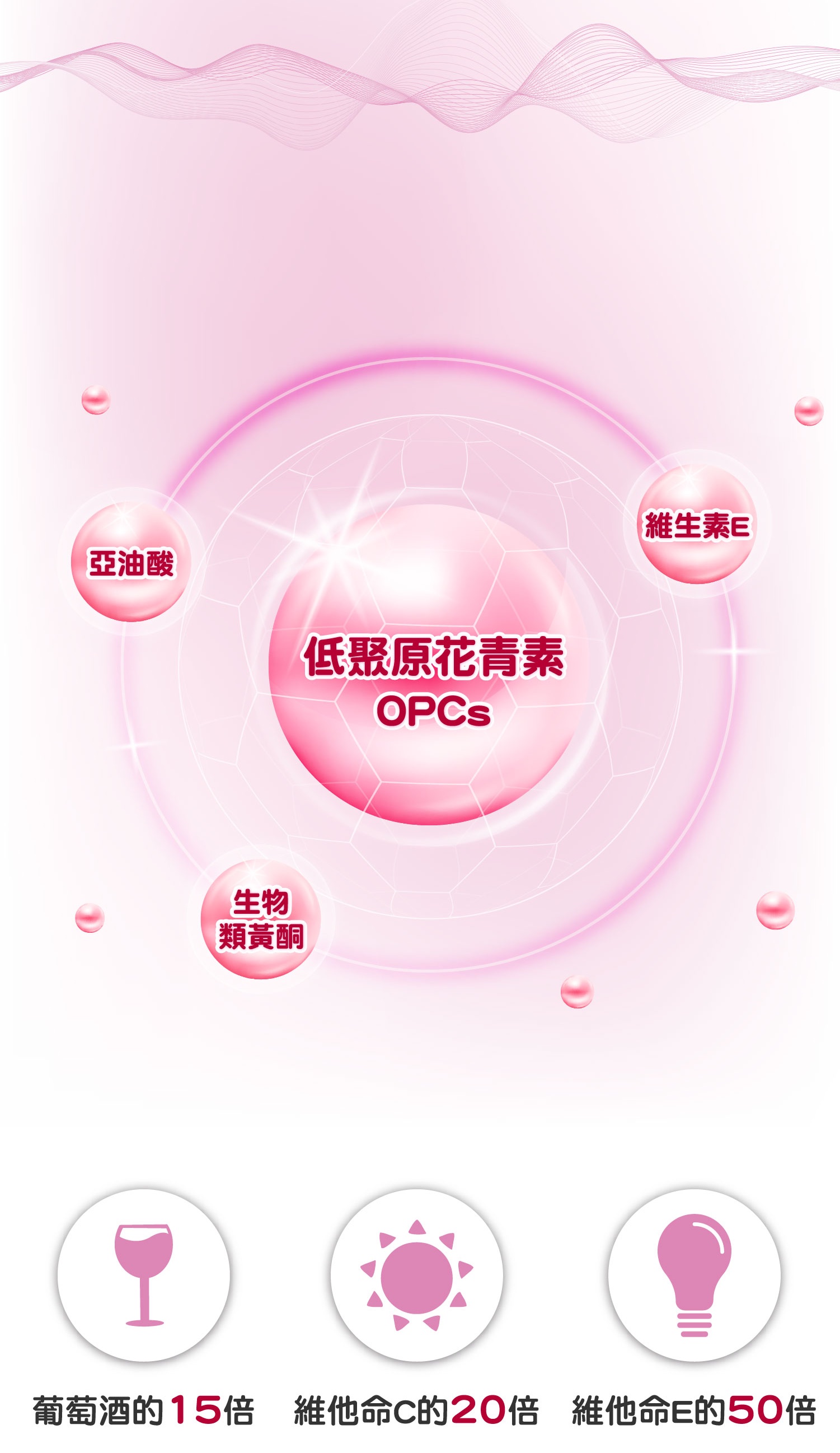 精粹萃取、養顏美容 低聚原花青素OPCs已經有諸多研究證實有許多保健功效,近年是歐美日熱門保健品,從古希臘開始,人們就把葡萄、葡萄葉和樹液用於健康維持。 葡萄籽OPCs於養顏美容、促進新陳代謝、調節生理機能的綜合能力是