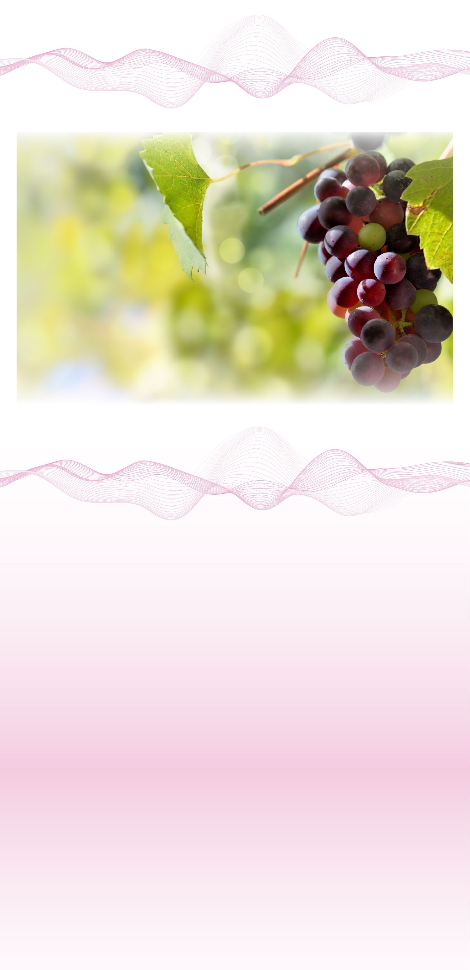 超臨界技術,打造高濃度有效 美國100%零汙染新鮮紅葡萄籽 150倍超臨界流體分離濃縮萃取 咖米堅持打造真正超高濃度低聚原花青素 自然界中最強,就像用吃的面膜 挑選葡萄籽重點 劑量要足夠 服用高劑量葡萄籽,每日最低至少300mg以上。咖米的葡萄籽是市面最高劑量的相關產品之一,每日提供700mg的葡萄籽萃取物,含有超過95%低聚原花青素OPCs。 標示要清楚 消費者一定要仔細看,市面上很多葡萄籽產品濫竽充數,例如含量寫14,000mg,其實仔細看卻是「乾燥葡萄重量」,建議消費者要閱讀包裝上的營養標示,頂級的葡萄籽產品會顯示萃取物的含量(Grape Seed)以及低聚原花青素OPCs的比例。網路購物若是看不到「葡萄籽萃取物」含量、「低聚原花青素」含量,建議消費者絕對不要購買。很多往往其實都是含量極低的劣質品,或是無良廠商由國外帶回、原英文標示的產品,仗著部分國人英文閱讀問題欺騙消費者。