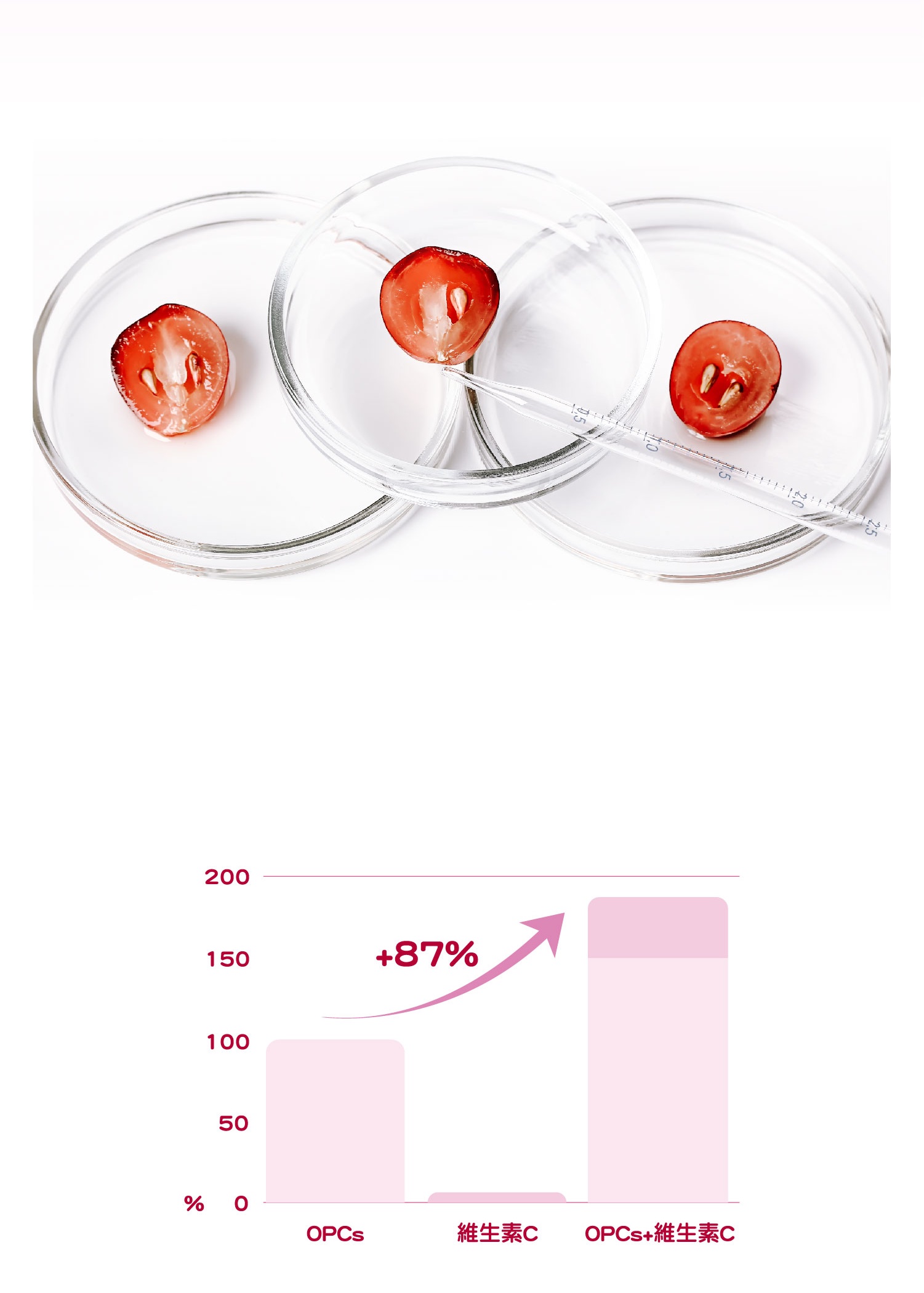 要添加維生素C OPCs能夠與維生素 C 發揮協同作用,再提升 87% 的效果